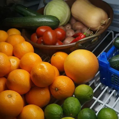 Otel Thuis Bij Schell Rotterdam